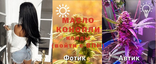 индика Абинск