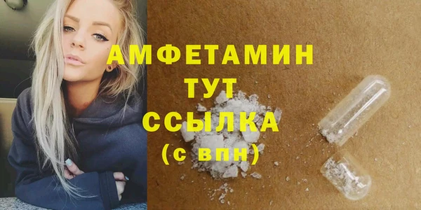 индика Абинск