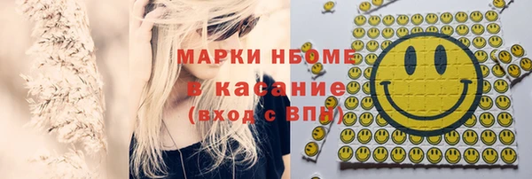 мдпв Новозыбков