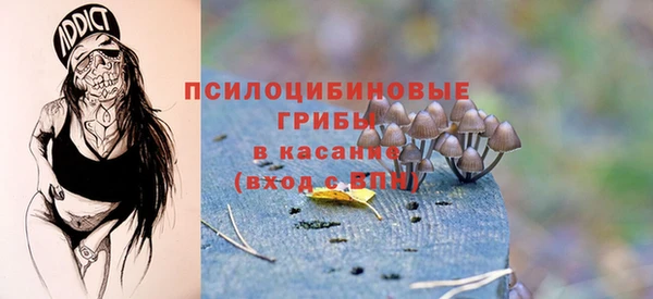 индика Абинск