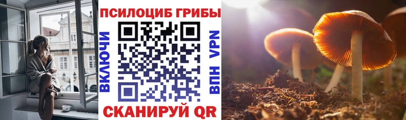 shop клад  купить   Ковдор  Галлюциногенные грибы ЛСД 